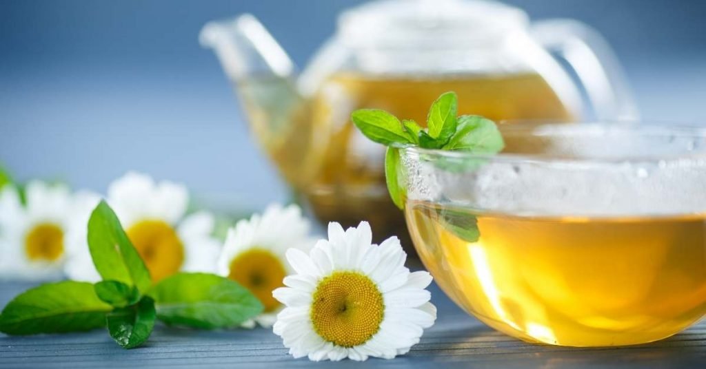 Chamomile Tea Benefits 