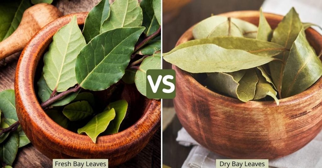 Fresh vs. Dried Bay Leaves for Tea