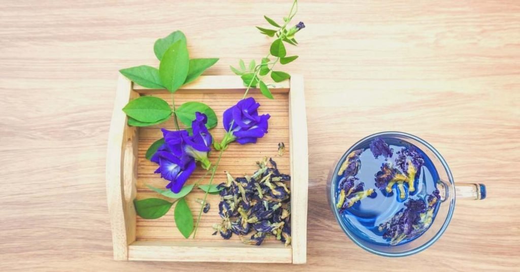 Butterfly Pea Flower Tea Benefits