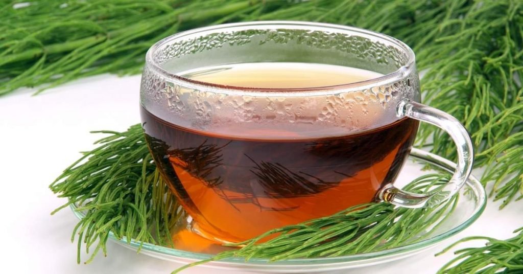 Horsetail Tea for Tendon Flexibility
