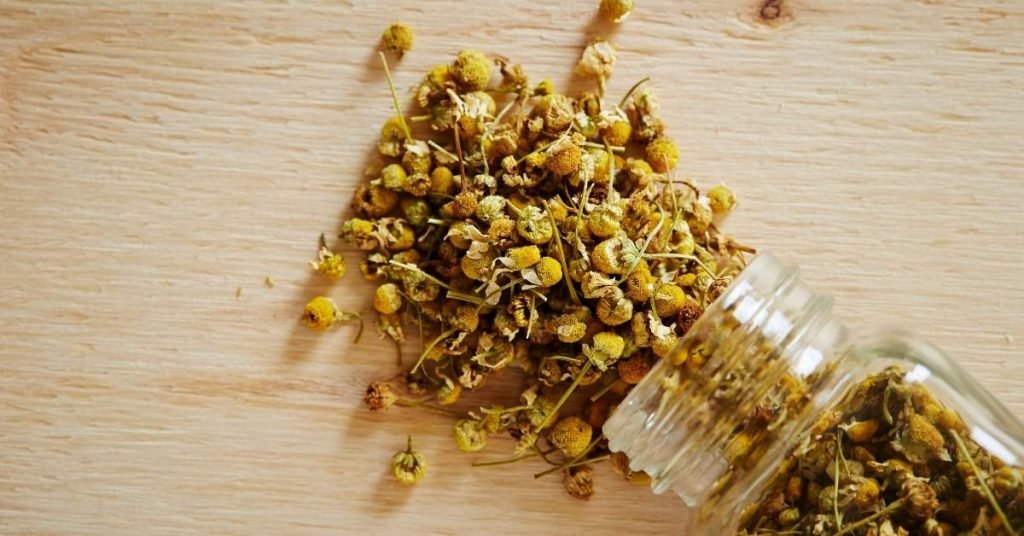 Chamomile with Anise Tea - Tea For Bloating