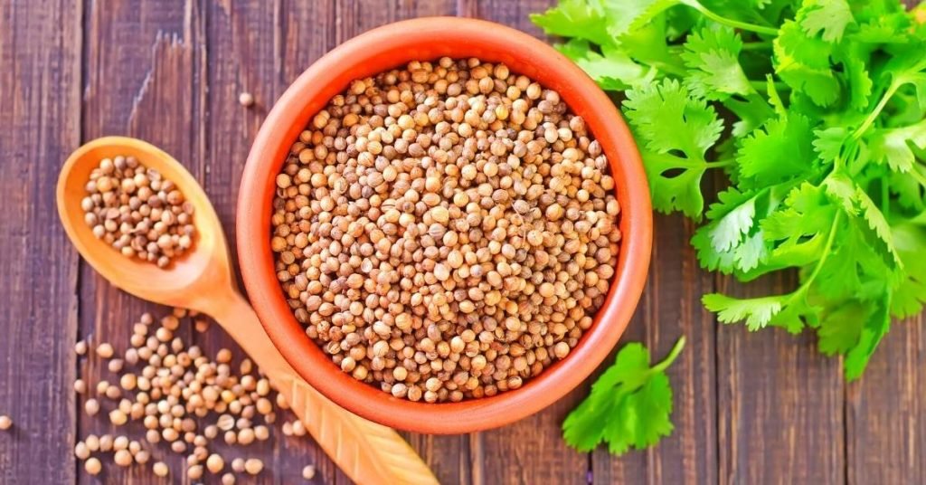  Coriander Packed With Vitamins