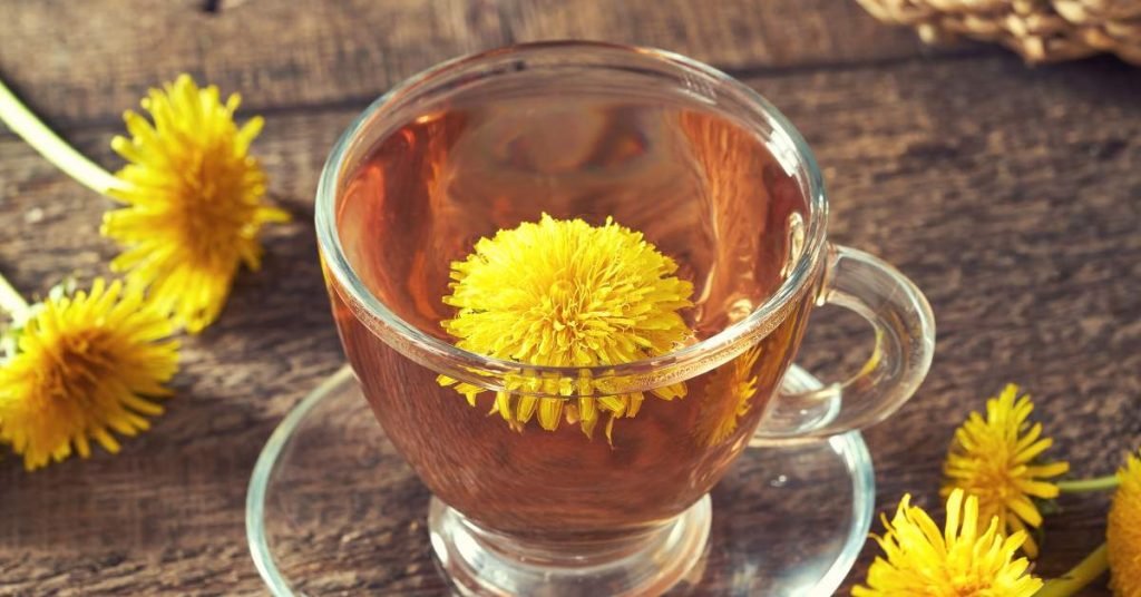 Dandelion Infusion Effective Teas and Infusions for Cleansing Your Body