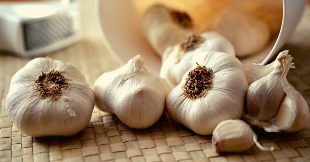 Garlic Infusion - Infusions to Lower Blood Pressure