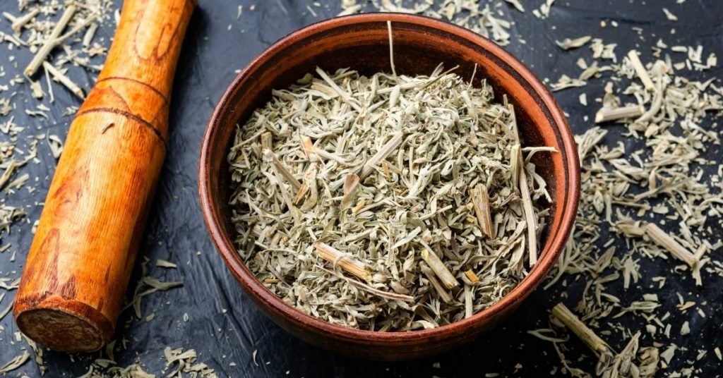 Medicinal Properties of Wormwood and Its Benefits