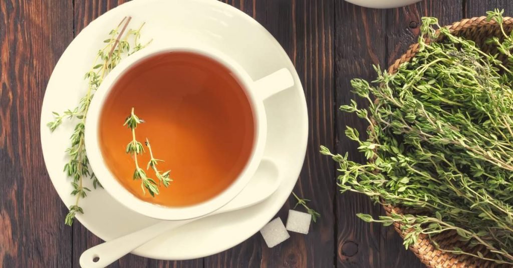 Thyme Infusion Effective Teas and Infusions for Cleansing Your Body