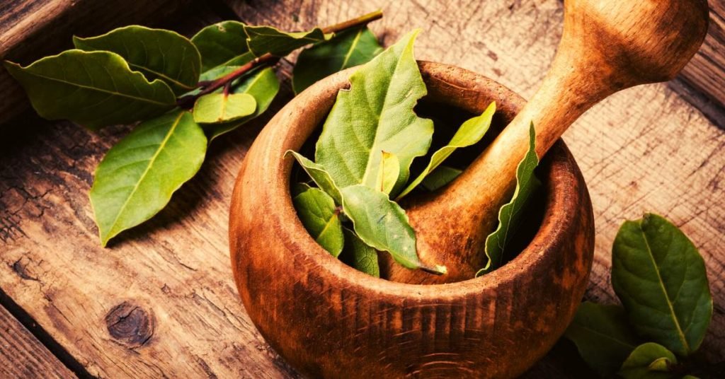 Bay Leaf Tea for Joint Pain