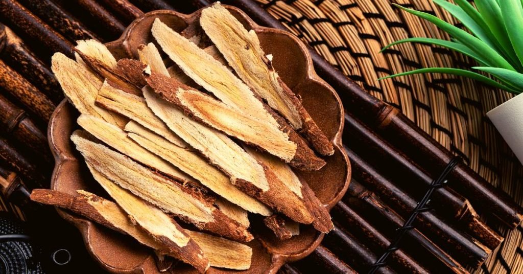 Chinese Astragalus Infusions for Boosting Your Defenses