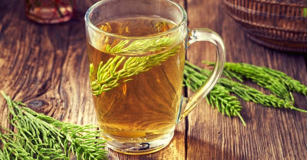 Horsetail Tea Natural Infusions to Aid Bone Health