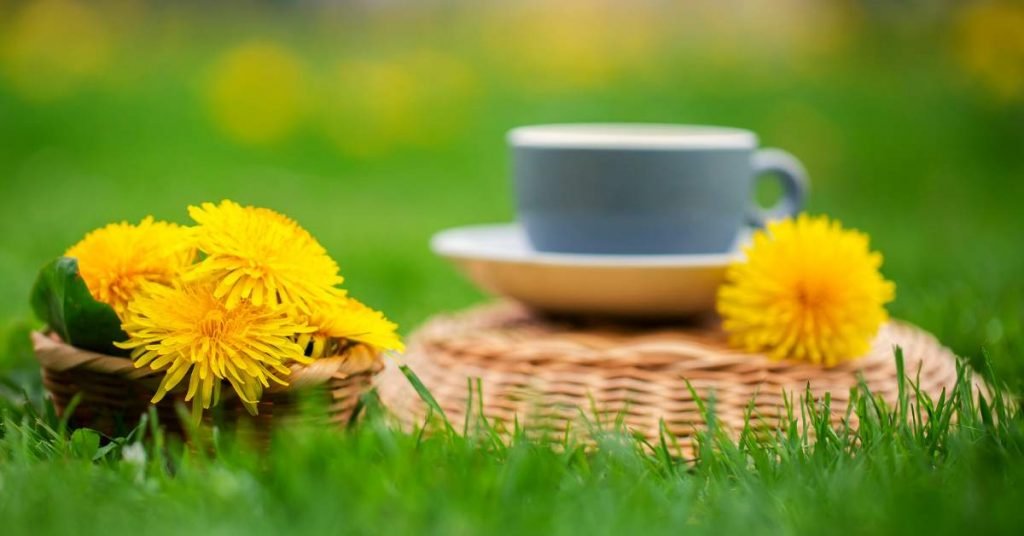 Lower Uric Acid Quickly with a Dandelion Infusion