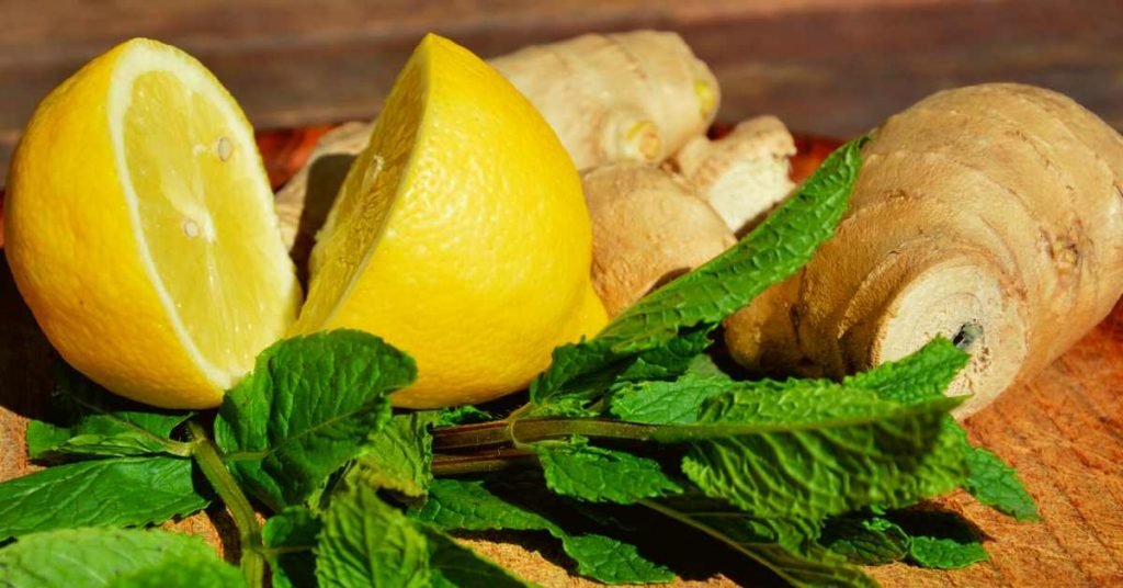 Mint and Ginger for Pregnant Women and How to Use Them