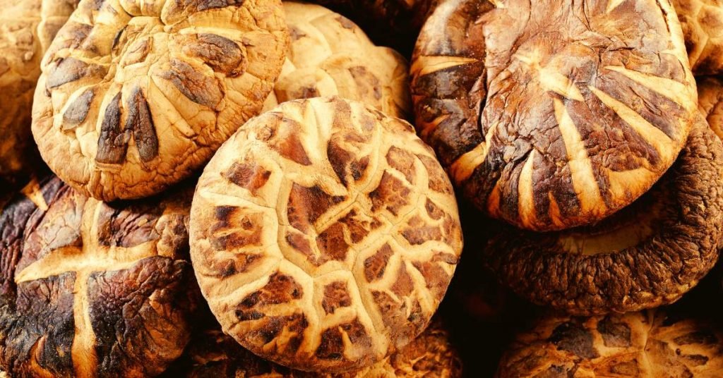 Shiitake Infusions for Boosting Your Defenses