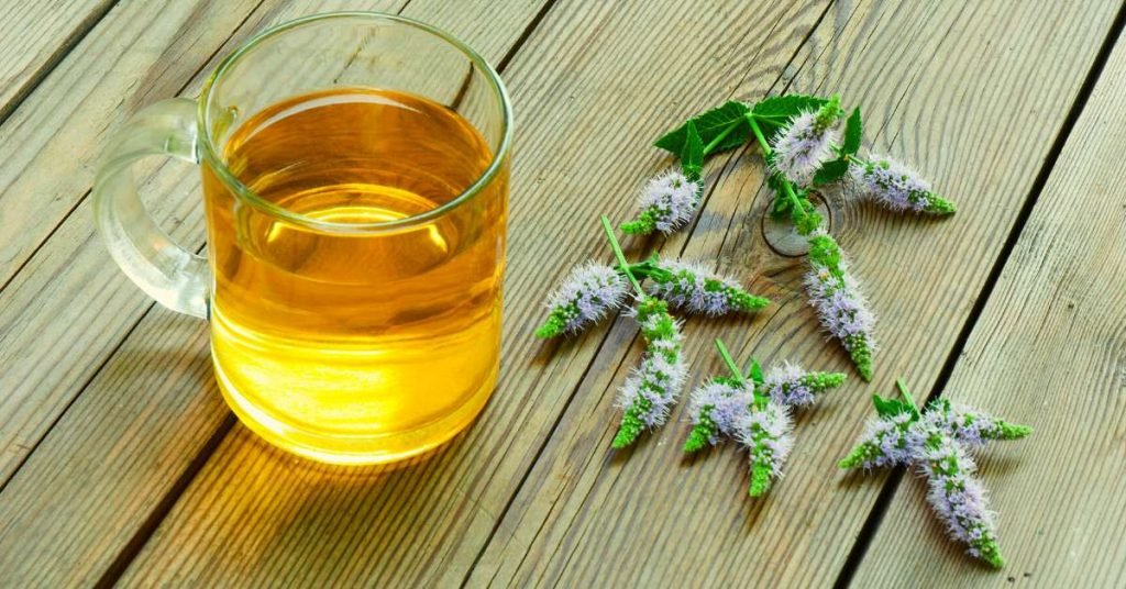 Peppermint and Anise Tea to Reduce Intestinal Inflammation