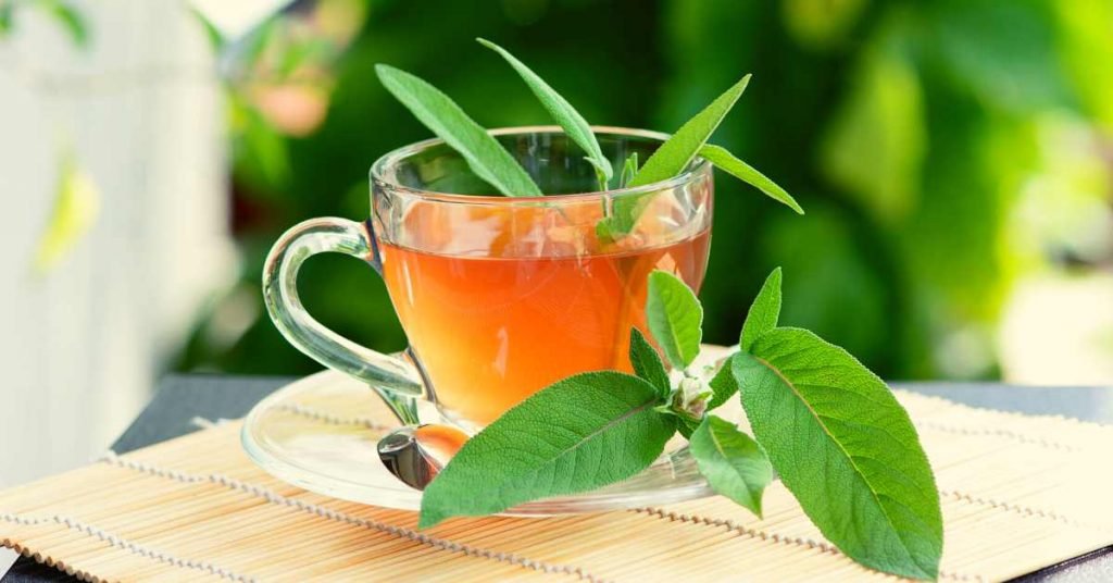 Sage Infusion Tea for Halitosis - Bad Breath