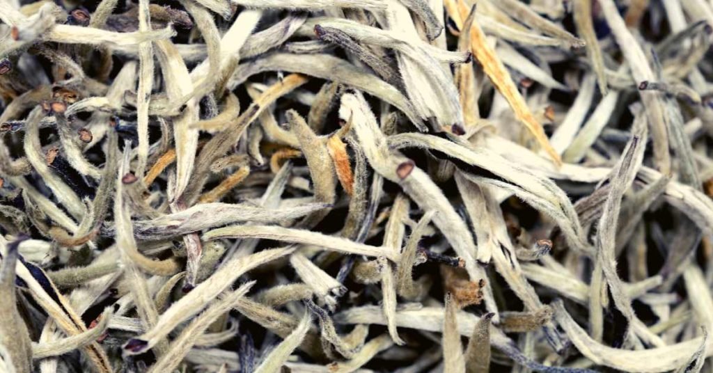 Properties and Benefits of White Tea for the Skin