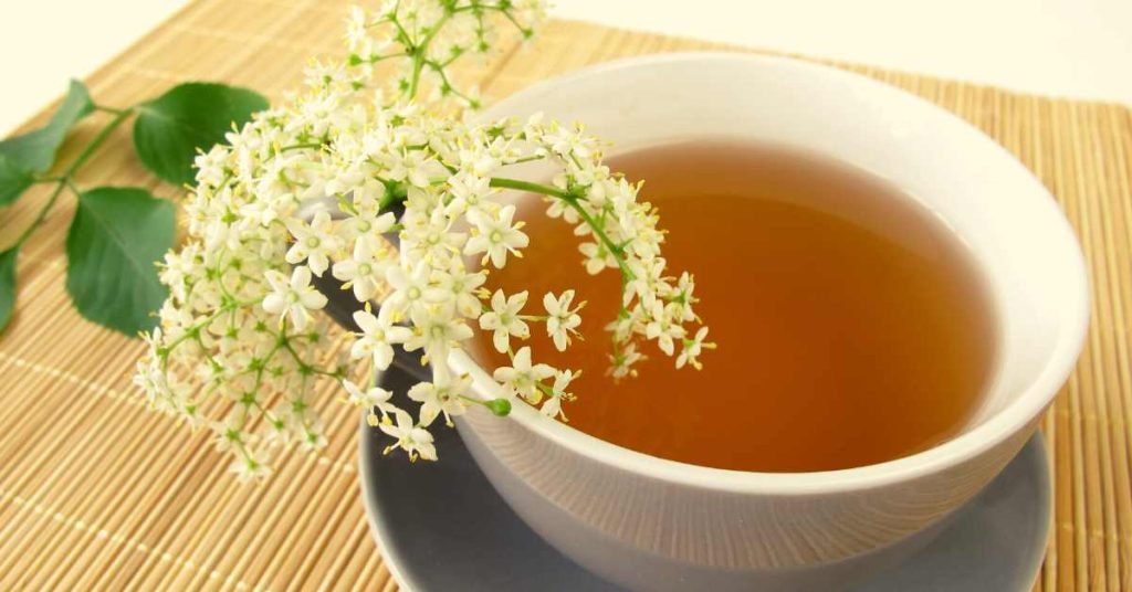 White Tea Promotes Collagen and Elastin Production