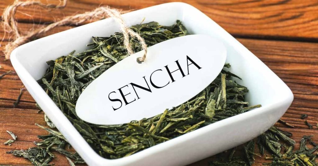 Brewing Techniques of Making Sencha Tea