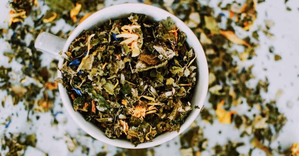 Discover All the Properties of Green Tea
