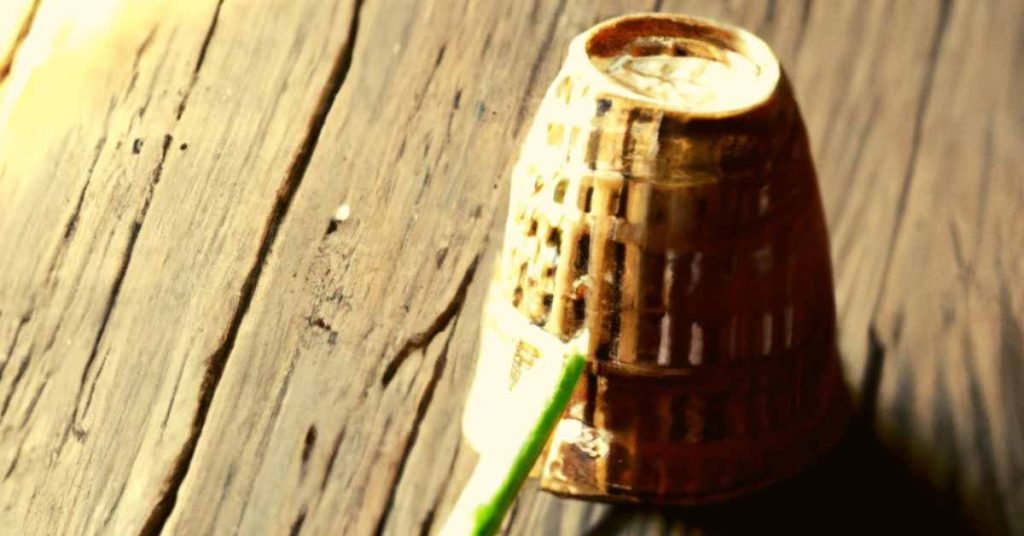 Advantages and Disadvantages of Bamboo Infusers