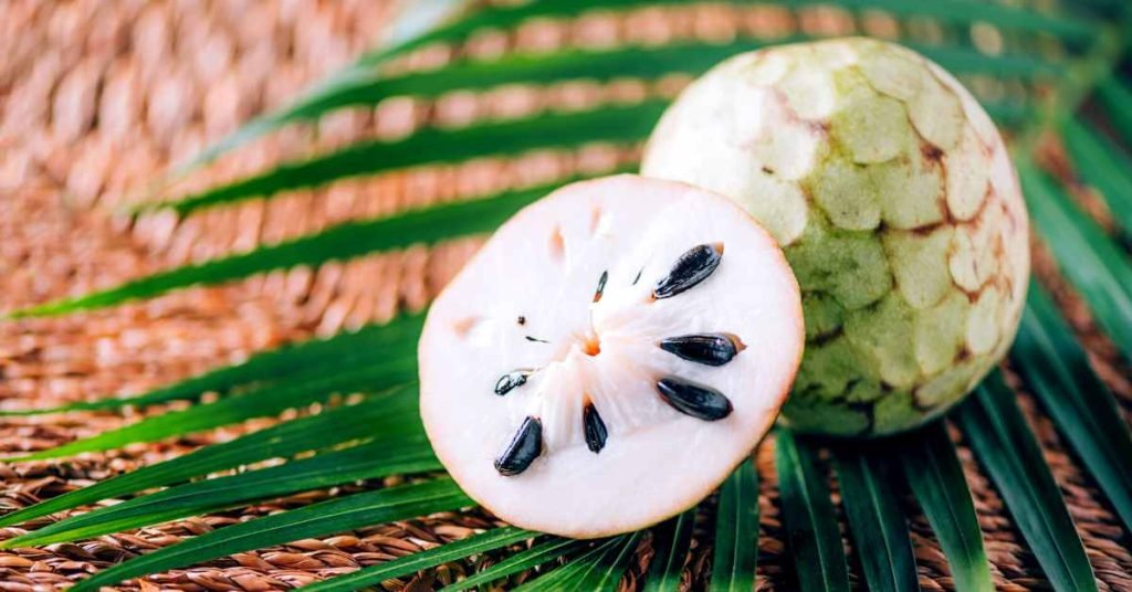 What is soursop leaf used for