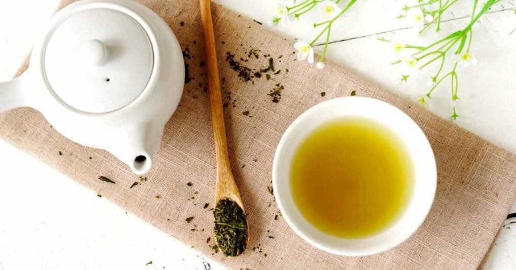 The Teas That Emerge of the Tea Plant