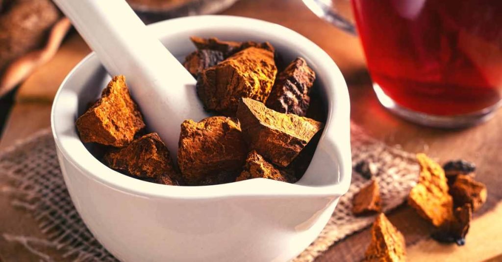 What are the properties of chaga tea