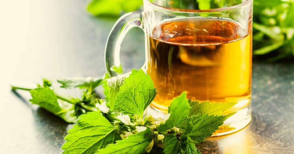 Nettle Tea for Healthy Nails