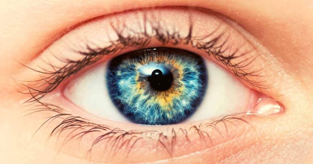 Understanding Eye Color