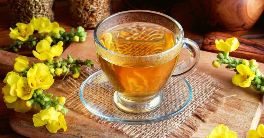 Antioxidant Properties of Tea for Brain Aneurysms