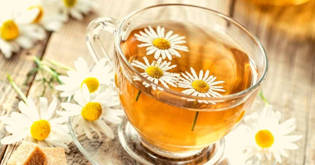 Chamomile Tea for Congestion Relief and Inhalation