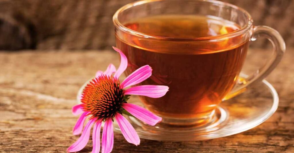 Echinacea Tea for Glandular Fever Recovery
