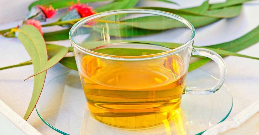 Eucalyptus Tea for Congestion Relief and Inhalation