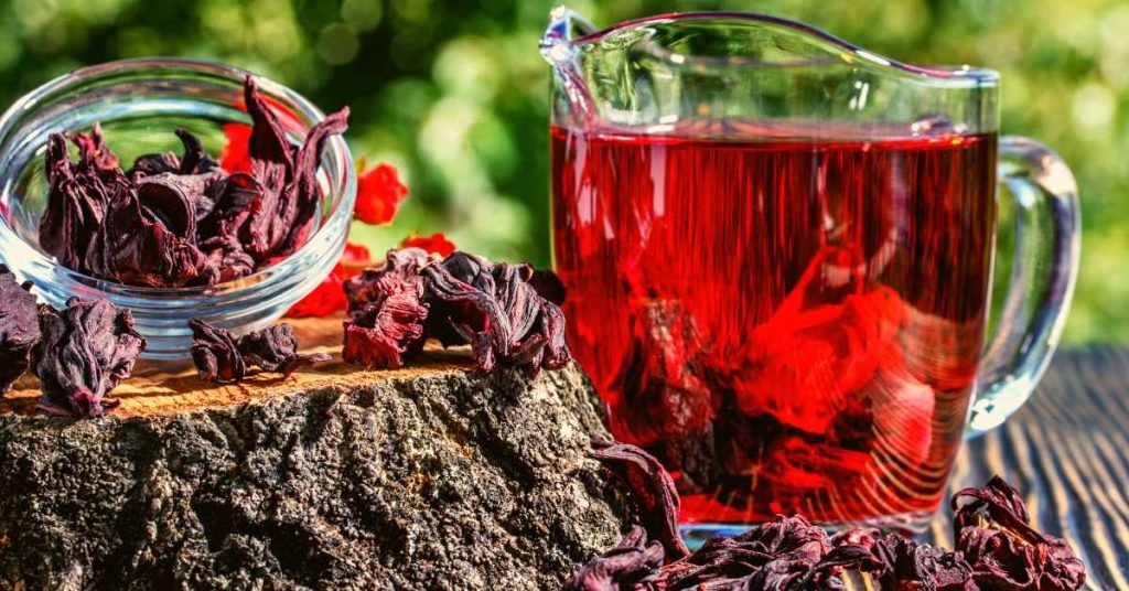 Exploring Hibiscus Tea and its Health Benefits