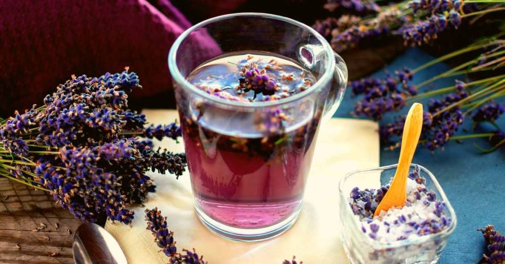 Exploring Lavender Tea and its Health Benefits