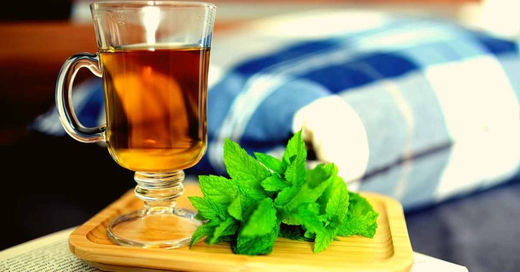 Exploring Mint Tea and its Health Benefits