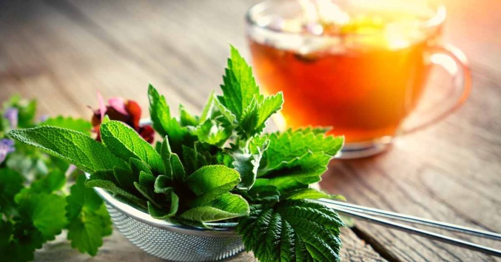 Teas and Their Potential Benefits for Genital Herpes