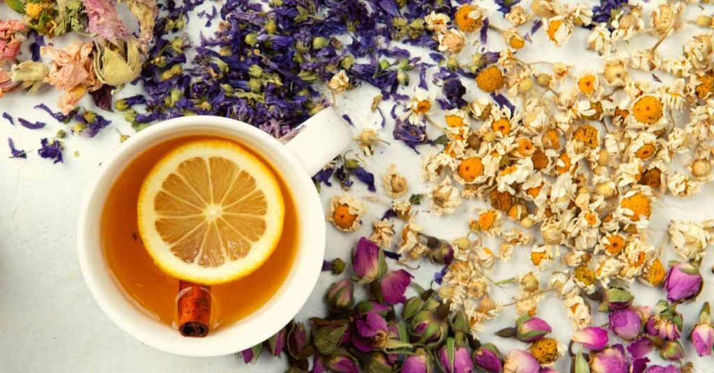 Teas and Their Potential Benefits for Genital Warts
