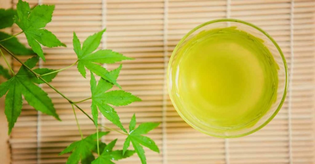 Green Tea for Bone Health