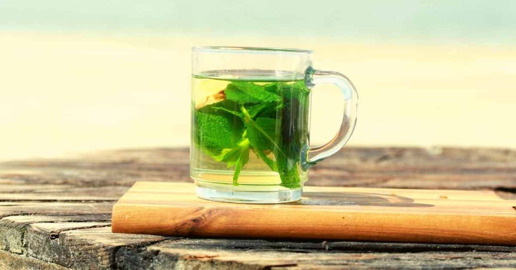 Peppermint Tea for Severe Burn Relief
