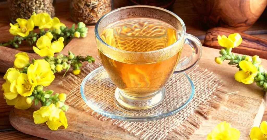 Health and Wellness Trends for Tea