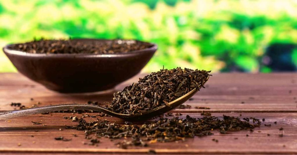 The Black Tea Influence of Kombucha Brewing