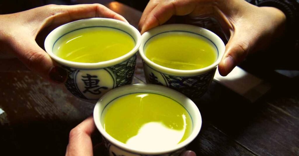 Green Tea for Immune System Support