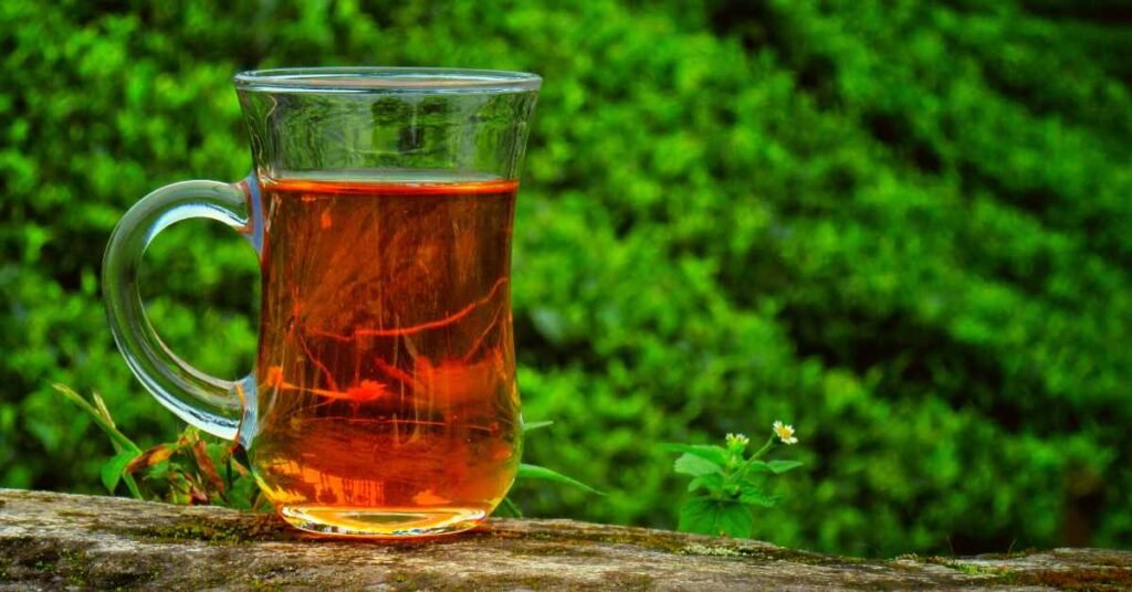 Varieties of Darjeeling Tea
