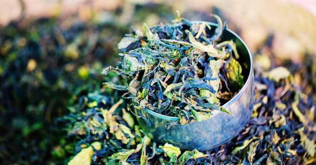 Caffeine and Amino Acid Content of Influencing Green Tea Flavor