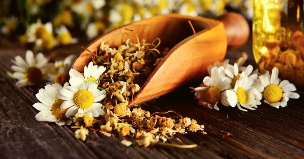 Chamomile Tea for Mouth Ulcers
