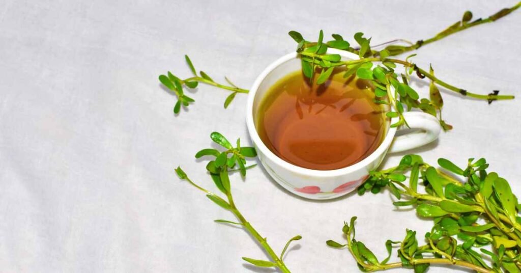 Health Benefits of Brahmi Tea