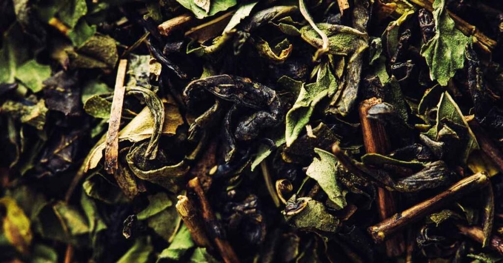 Sustainability and Eco-Consciousness of Loose-Leaf Tea