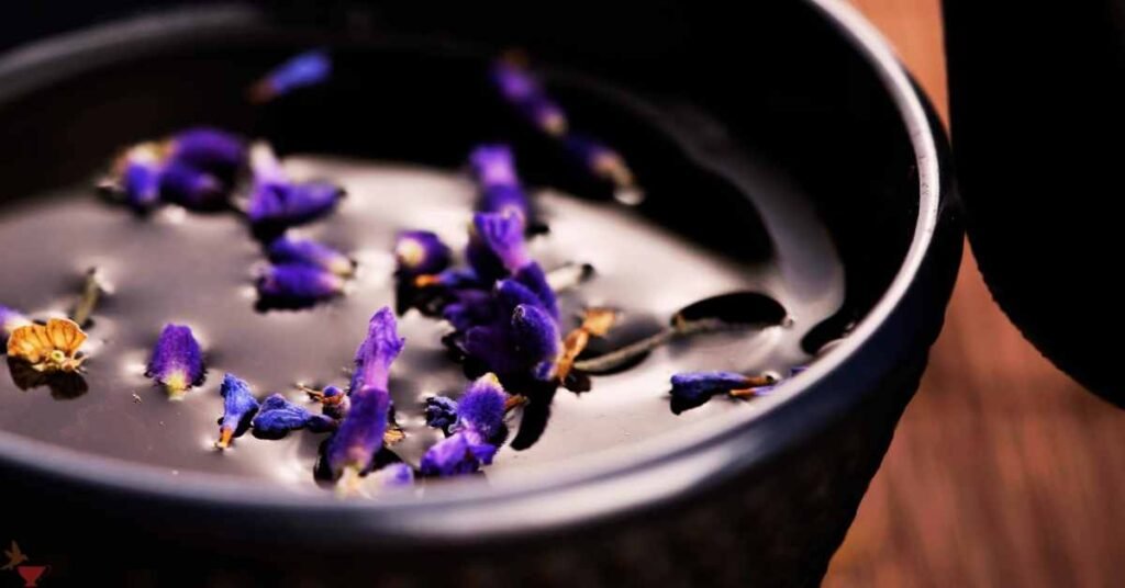 Factors to Consider of Lavender Tea