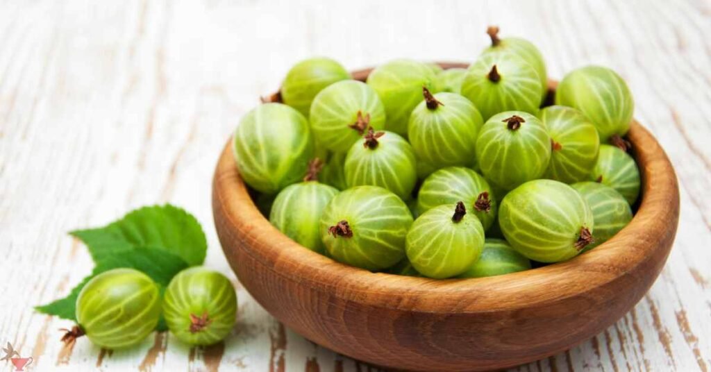 Discovering the Essence of Indian Gooseberry