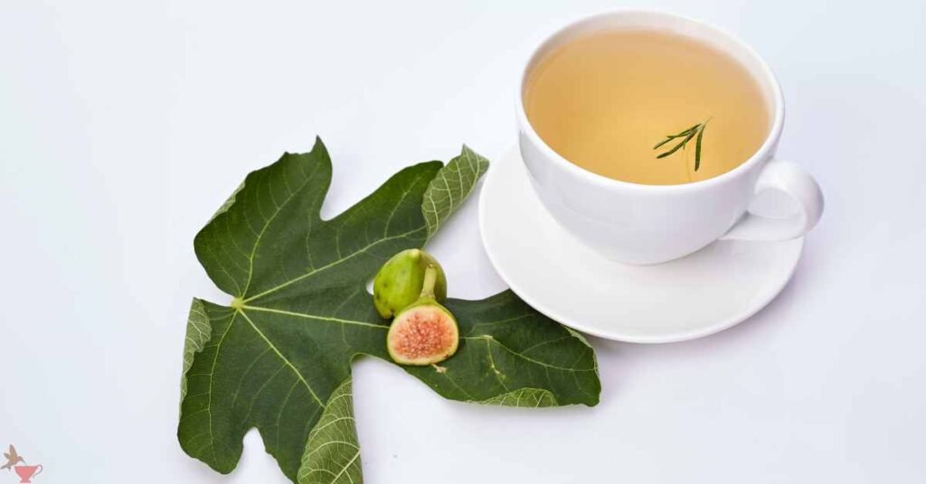 Health Benefits of Fig Leaf Tea